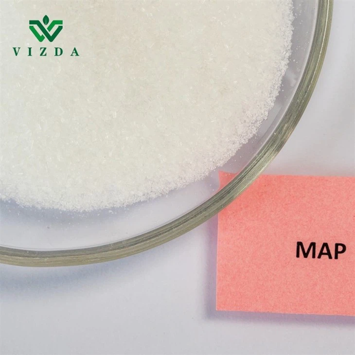 Monoammonium Phosphate (MAP) Crystal