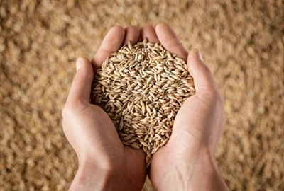 مالی از روسیه برای ارسال کود و گندم تشکر کرد