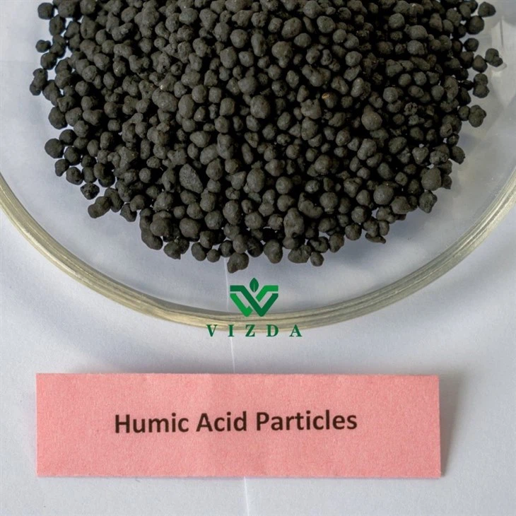 Organic Agriculture Humic Acid Fertilizer