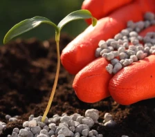 راهنمای آسان برای کودهای باغی: اصول کود