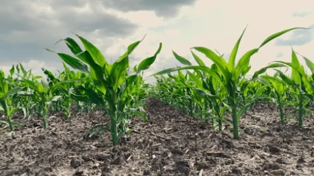 news-459-258